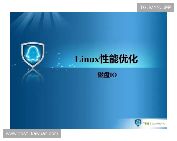 Linux系统磁盘IO过高问题分析与优化实用解决方案